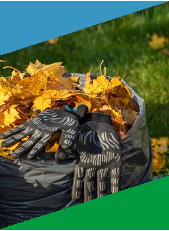 Осенние работы в саду: