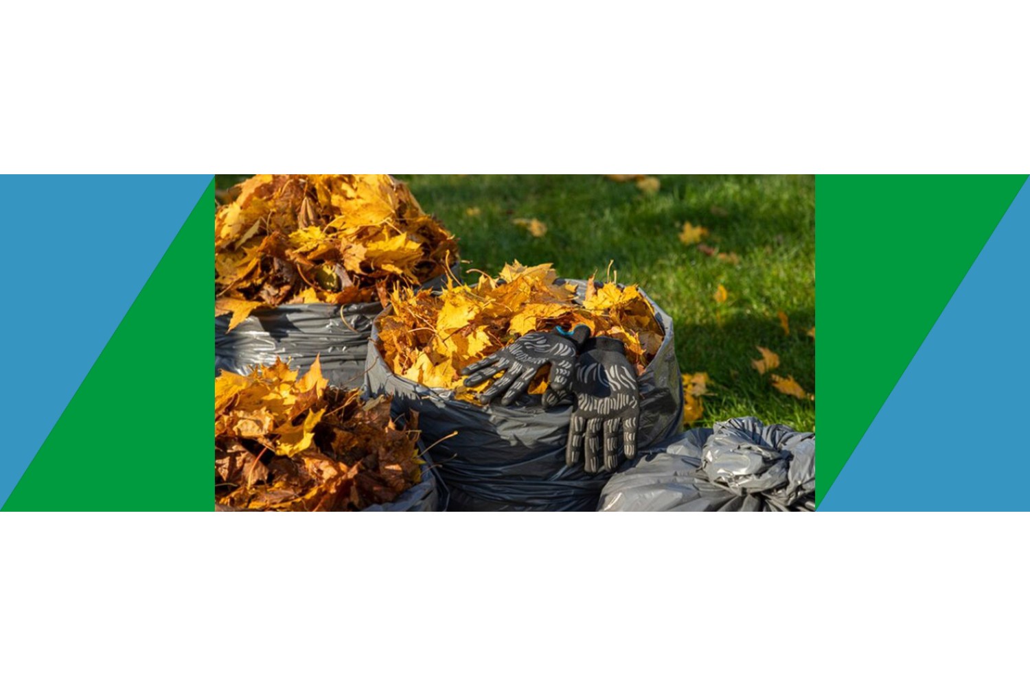 Что успеть сделать до первых заморозков