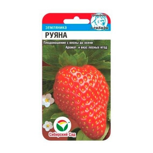 Земляника ремонтантная Руяна 10шт (Сибирский Сад)