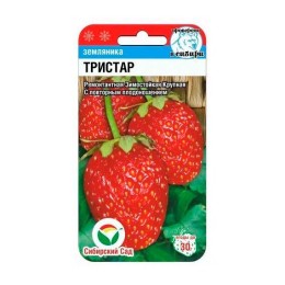 Земляника Тристар 10шт (Сибирский Сад)