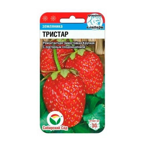 Земляника Тристар 10шт (Сибирский Сад)