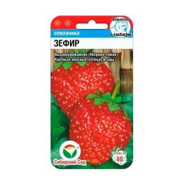 Земляника Зефир 10шт (Сибирский Сад)