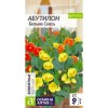 Абутилон Бельвю смесь 0.1г (Семена Алтая)