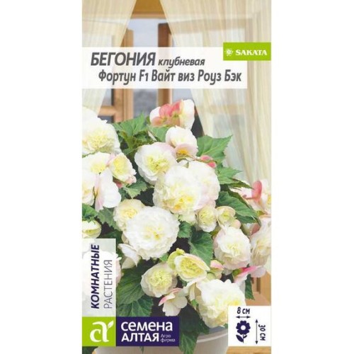 Бегония клубневая Фортун F1 Вайт виз Роуз Бэк 5 шт (Семена Алтая)
