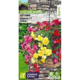Бегония Шансон F1 смесь "Ампельные шедевры" 5шт (Семена Алтая)