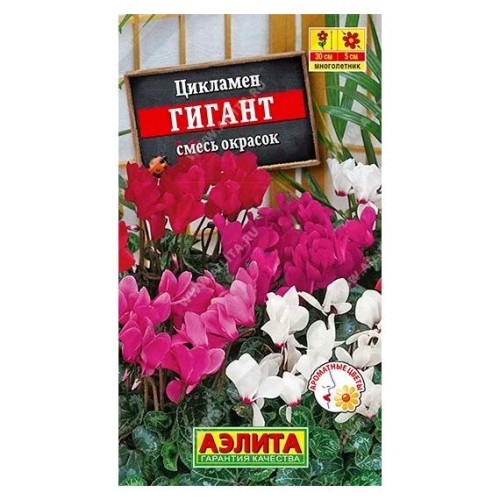 Цикламен персидский Гигант смесь сортов 3шт (Аэлита)