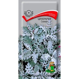Цинерария Снежок 0.1г (Поиск)