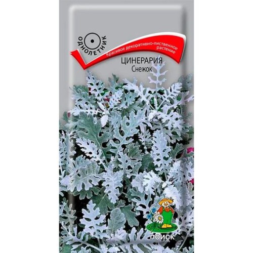 Цинерария Снежок 0.1г (Поиск)