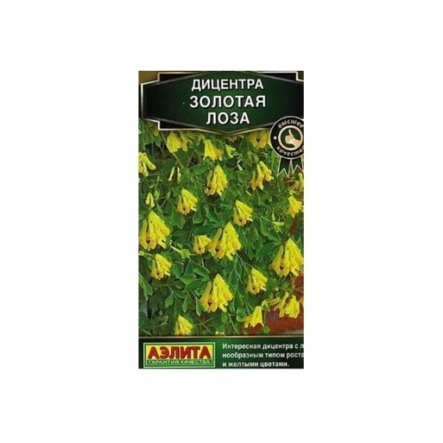 Дицентра Золотая лоза 5шт (Аэлита)
