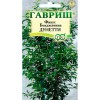 Фикус Бенджамина Дунетти 0.01г (Гавриш)