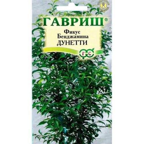 Фикус Бенджамина Дунетти 0.01г (Гавриш)