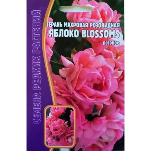 Герань махровая розовидная Яблоко Blossoms Розовое 3шт (Семена редких растений)