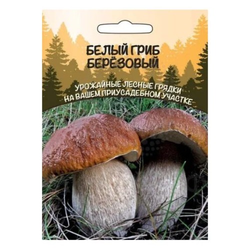 Мицелий Белый гриб Березовый 30мл (Уральский дачник)