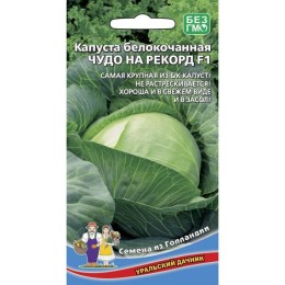 Капуста белокочанная Чудо на рекорд F1 0.3г (Уральский Дачник)