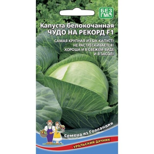 Капуста белокочанная Чудо на рекорд F1 0.3г (Уральский Дачник)