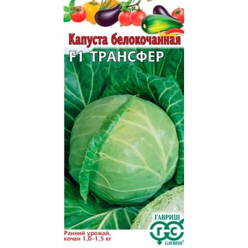 Капуста белокочанная Трансфер F1 10шт (Гавриш)