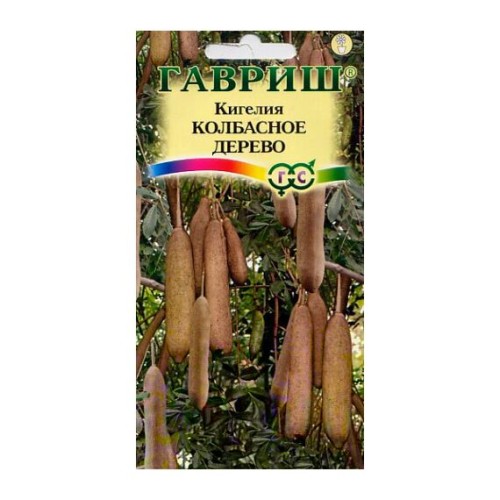 Кигелия перистая Колбасное дерево 3шт (Гавриш)