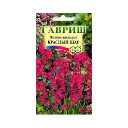 Лихнис Вискария Красный шар (Гавриш)