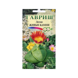 Литопс Джезин Живые Камни 5шт (Гавриш)