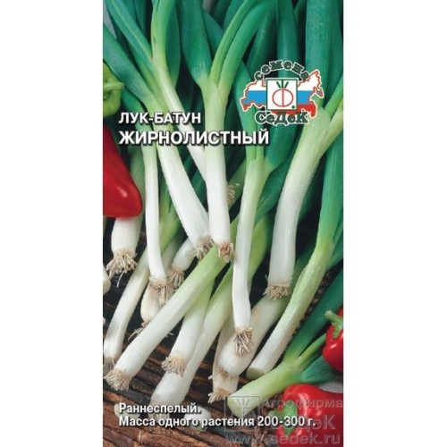 Лук батун Жирнолистный 1г (СеДеК)