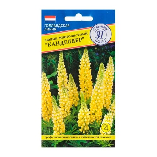 Люпин многолистный Канделябр "Голландская серия" 15шт (Престиж)