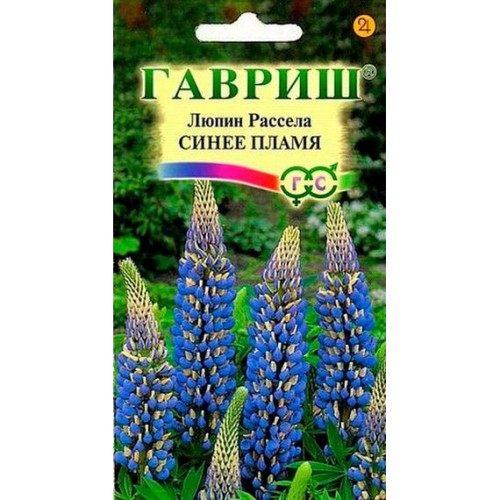Люпин декоративный Синее пламя 0.5г (Гавриш)