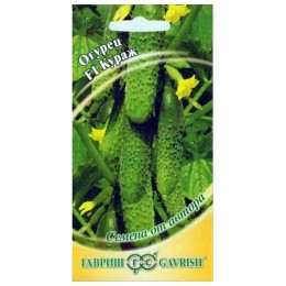 Огурец Кураж F1 "Семена от автора" 10шт (Гавриш)