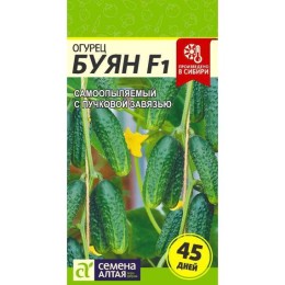 Огурец Буян F1 5шт (Семена Алтая)