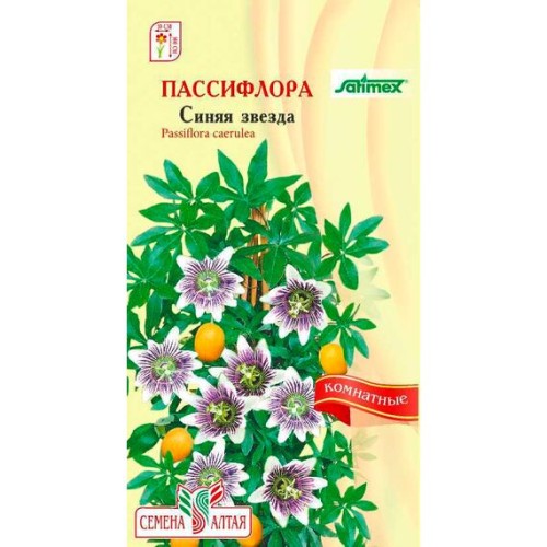 Пассифлора Синяя звезда 5шт (Семена Алтая)