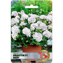 Пеларгония Квантум F1 Вайт 5шт (Биотехника)