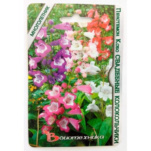 Пенстемон Кобо "Свадебные колокольчики" смесь 20шт (Биотехника)