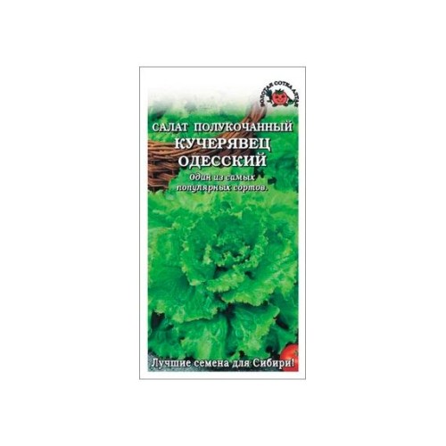 Салат полукочанный Кучерявец Одесский 0.5г (Золотая сотка Алтая)