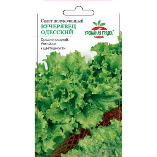 Салат полукочанный Кучерявец Одесский 0.5г (Урожайная грядка)