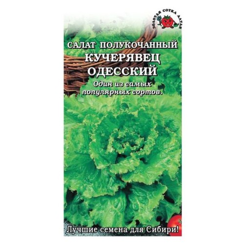Салат полукочанный Кучерявец Одесский БП 0.5г (Золотая сотка)