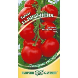 Томат Интуиция F1 "Семена от автора" 12шт (Гавриш)