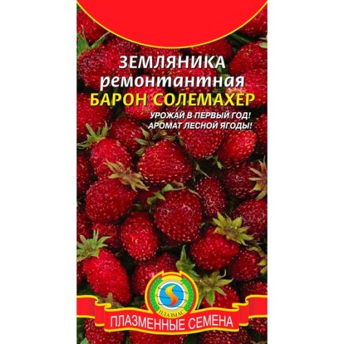 Земляника ремонтантная Барон Солемахер 0.04г (Плазмас)