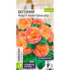 Бегония Фортун F1 априкот Оранж шейдс 5шт (Семена Алтая)