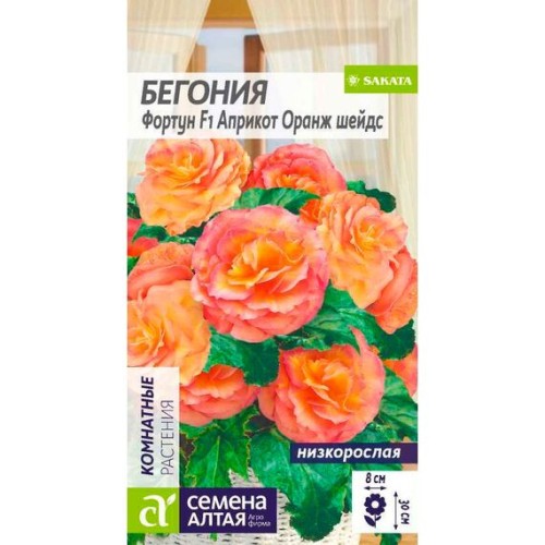 Бегония Фортун F1 априкот Оранж шейдс 5шт (Семена Алтая)