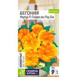Бегония Фортун F1 Голден виз Ред Бэк 5шт (Семена Алтая)