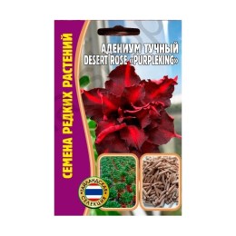 Адениум тучный Desert Rose PurpleKing 3шт (Семена редких растений)