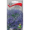Лобелия Плетистая Сине-белый фонтан 0.1г (Поиск)