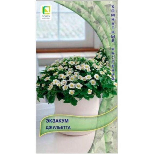 Экзакум Джульетта 5шт (Поиск)