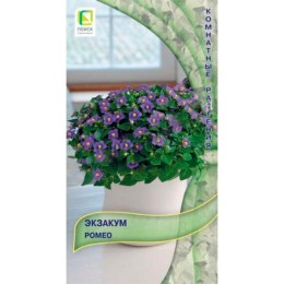 Экзакум Ромео 5шт (Поиск)