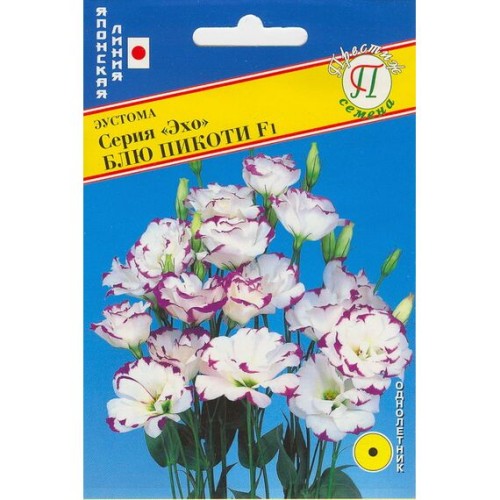 Эустома серия "Эхо" блю пикоти F1 (Престиж)