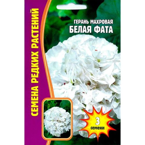 Герань махровая Белая фата 3шт (Семена редких растений)