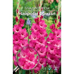 Гладиолусы Найроби