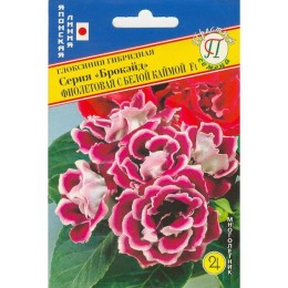 Глоксиния Брокэйд Фиолетовая с белой каймой F1 10шт (Престиж)