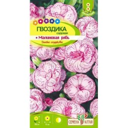 Гвоздика садовая Малиновая рябь 0.2г (Семена Алтая)