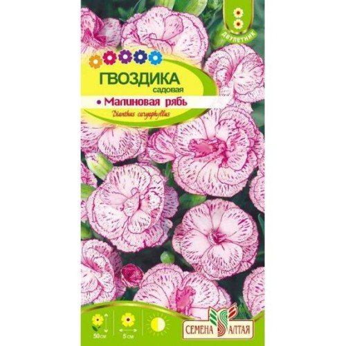 Гвоздика садовая Малиновая рябь 0.2г (Семена Алтая)