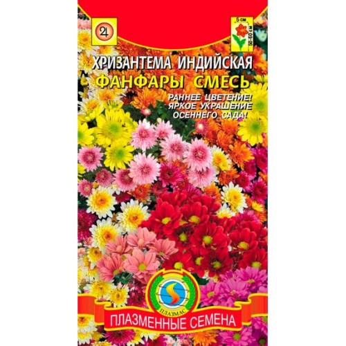 Хризантема Индийская Фанфары смесь 20шт (Плазмас)